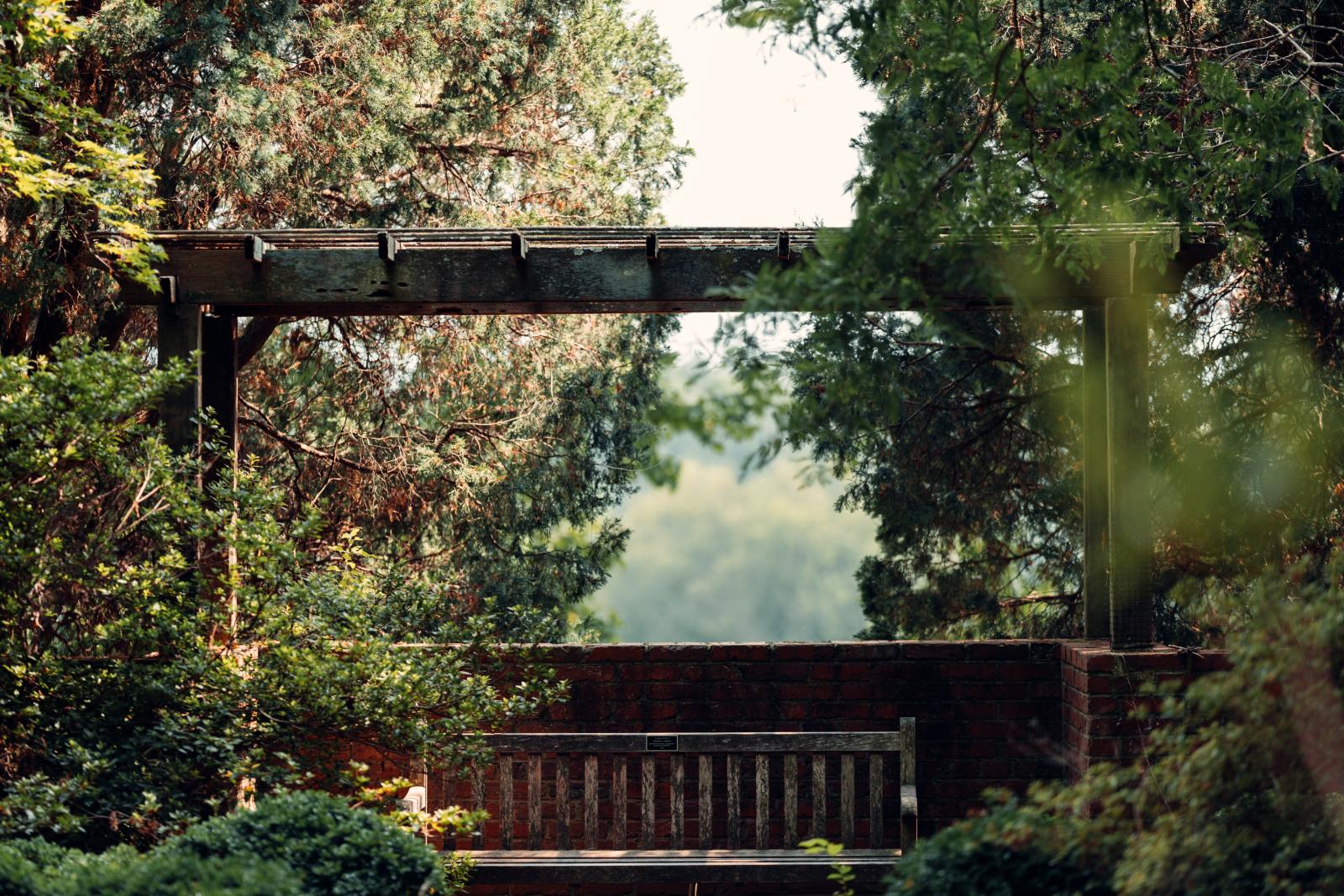 A park bench nestled among lush green trees